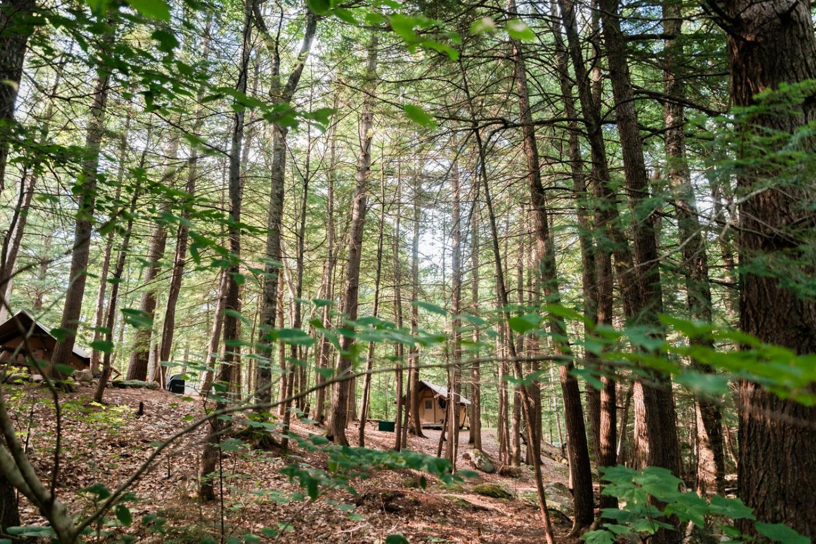 Huttopia White Mountains Albany Экстерьер фото