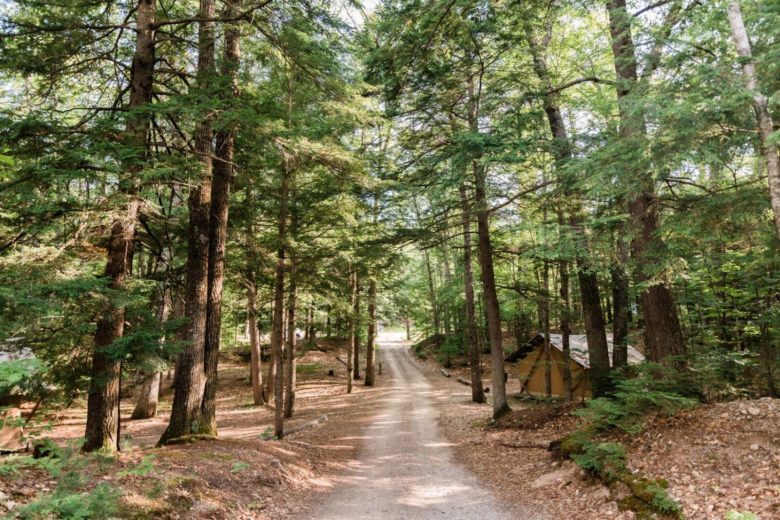 Huttopia White Mountains Albany Экстерьер фото